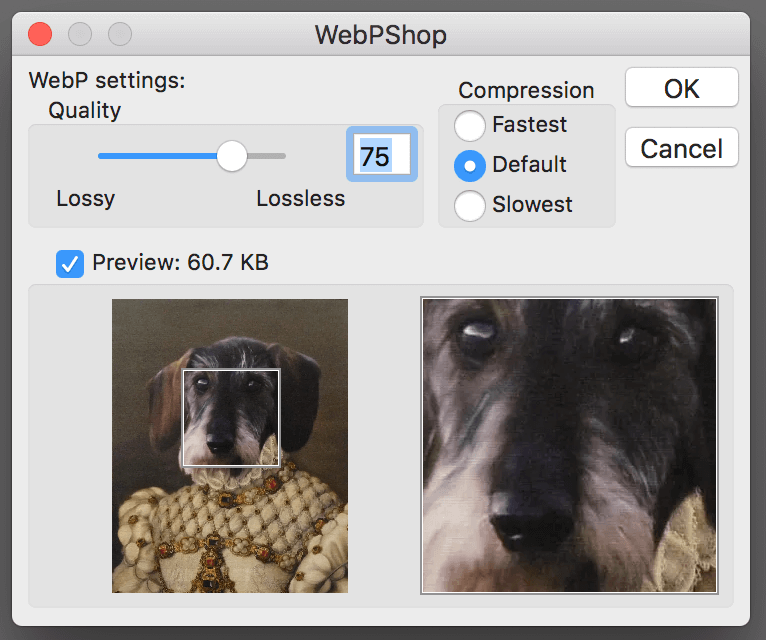 Optionen in Photoshop beim Speichern als webP-Format